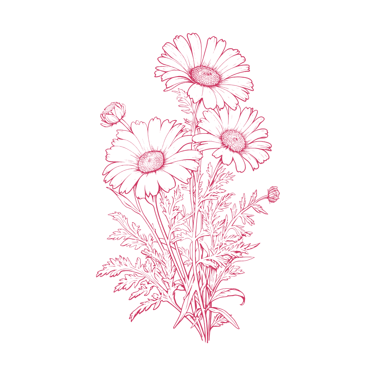 花（Design）