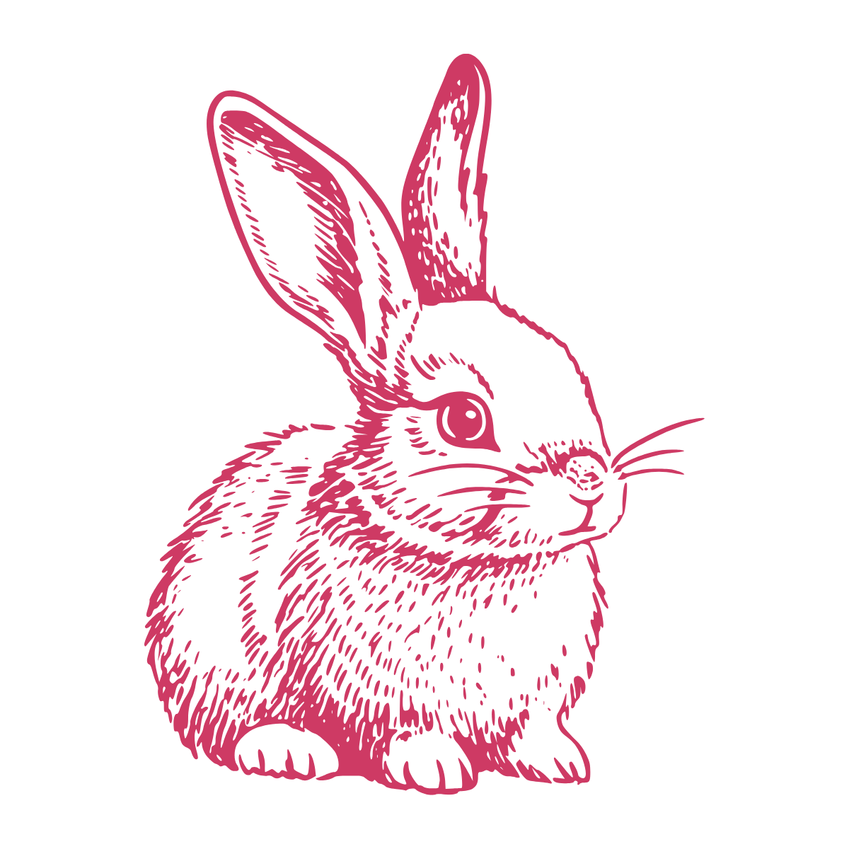 うさぎ（Listen）